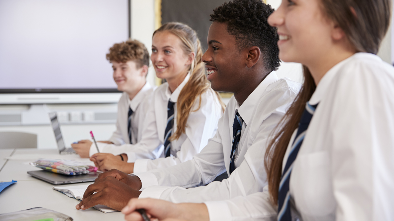 Mixed gender and ethnicity children in school uniform sat during a lesson